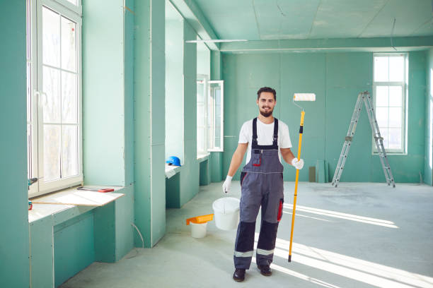 Best Basement Mold Removal  in De Soto, IL