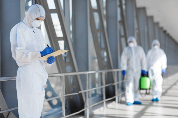 Best Post-Remediation Verification Testing  in De Soto, IL