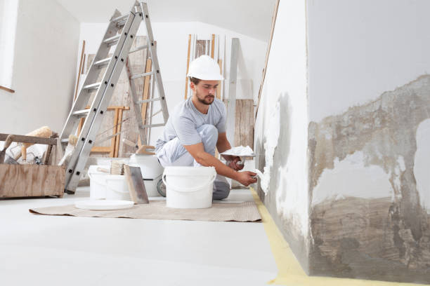 Best Mold Damage Restoration  in De Soto, IL