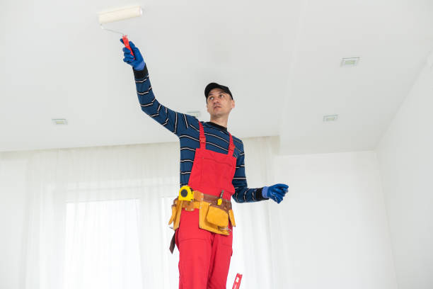 Best Forensic Mold Investigation  in De Soto, IL