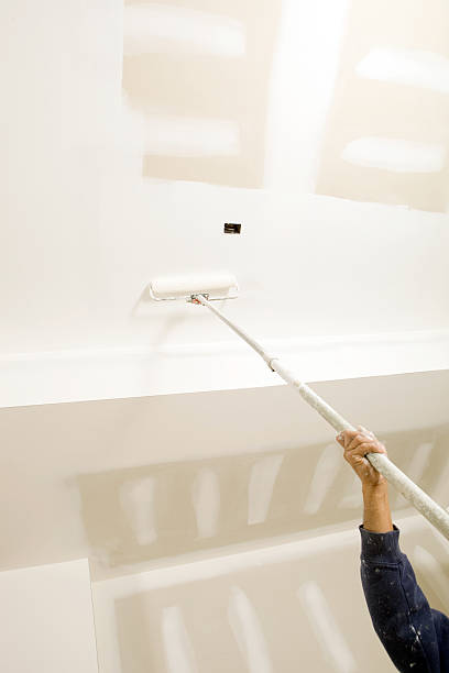 Best HVAC Mold Inspection and Cleaning  in De Soto, IL