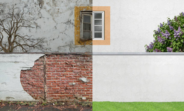 Best Mold Remediation for Rental Properties  in De Soto, IL