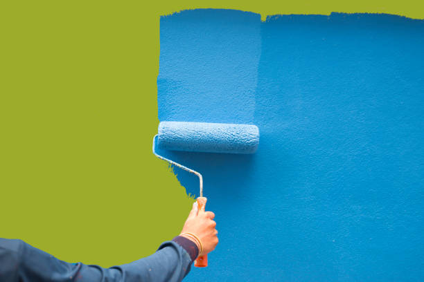 Best Mold Damage Restoration  in De Soto, IL
