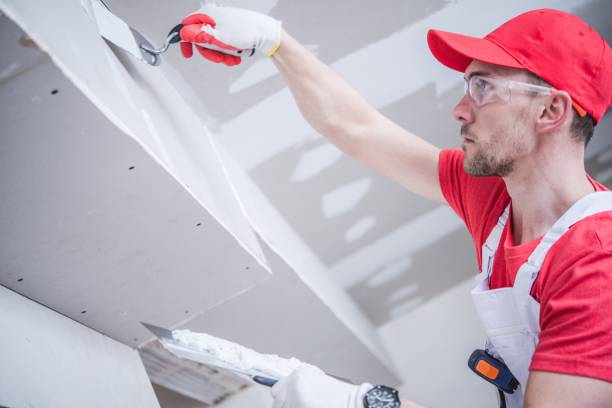 Best Industrial Mold Remediation  in De Soto, IL